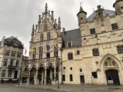 IMG 1681