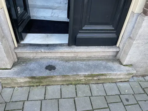 IMG 9722